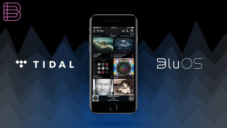 Tidal-masters-on-mobile-phone-3