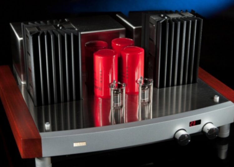 Pathos-T.T.amplifier1.jpg