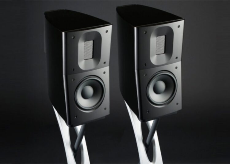 raidho-D-1.1-loudspeakers