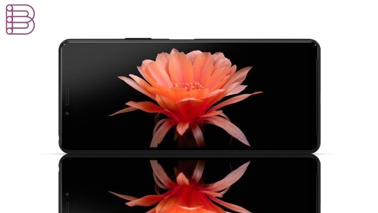 sony-xperia10II-display