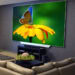 digital-projection-radiance
