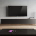 Piega-Premium-Wireless-GEN2-loudspeaker-Series