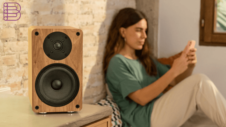 Vulkkano-A5-ARC-Loudspeaker-System-1