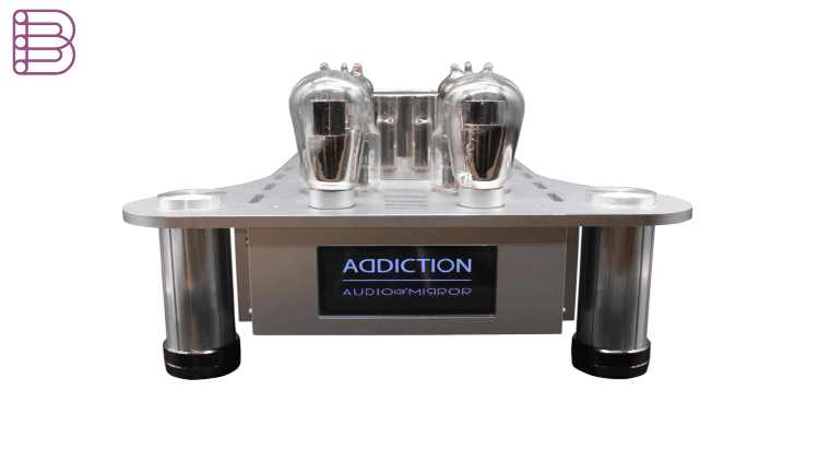 Audio-Mirror-ADDICTION-PSE-Mono-Blocks-Power-Amplifier-2