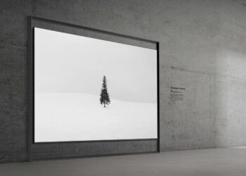 samsung-unveils-worlds-first-130-inch-micro-rgb-tv-at-ces2026