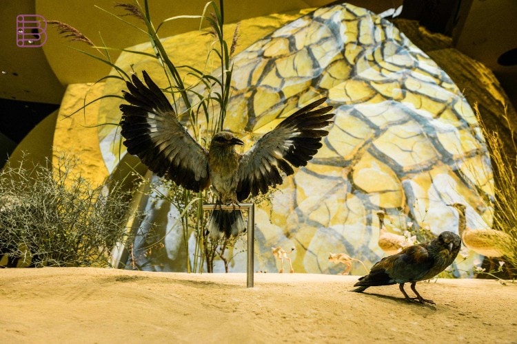Panasonic PT-RQ25K laser projection on artefacts and film content at the National Museum of Qatar