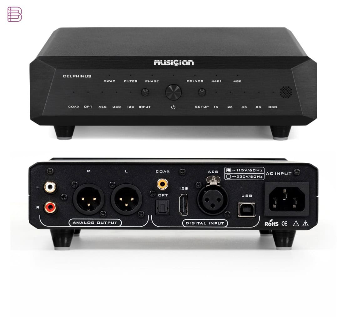 Musician Delphinus R2R DAC front and rear panel