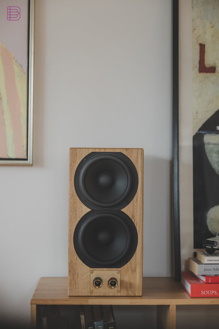 Buchardt E50-S front baffle showing the Satori 7.5-inch woofer and binding posts