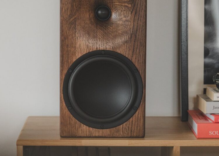 Buchardt E50-S standmount loudspeaker in rounded smoked oak on a living room shelf