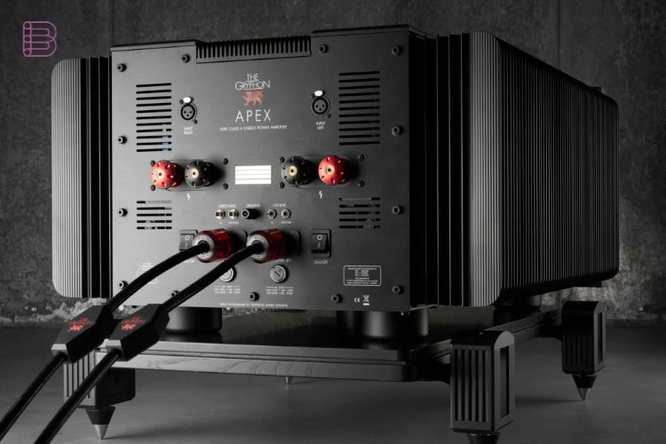 Gryphon Apex rear panel with XLR inputs and speaker binding posts