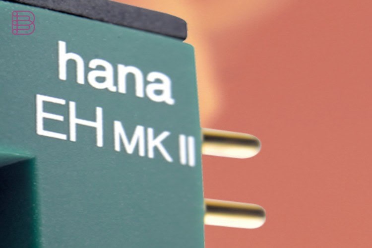 Close-up of the Hana EH MK II model markings and gold-plated output pins