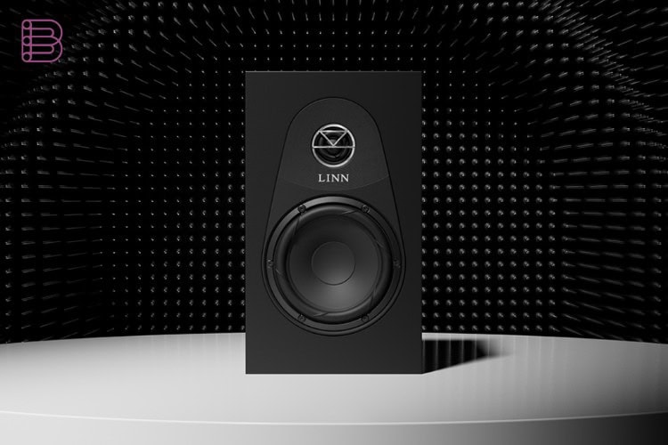 Linn 119 loudspeaker in satin black finish showing the drive unit trim and tweeter guard