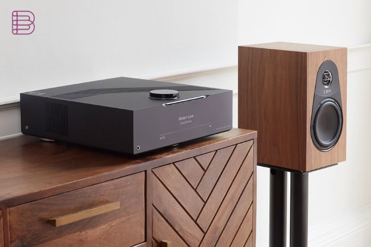 Linn 119 loudspeaker in walnut finish on a stand beside a Linn Selekt DSM Classic Hub