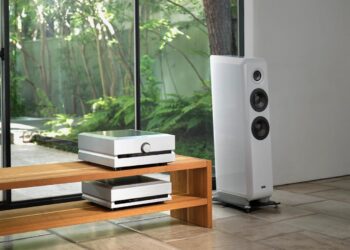 Class D amplifier high-end audio: TAD A1000 integrated amplifier on a wooden rack next to a floorstanding loudspeaker