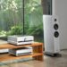 Class D amplifier high-end audio: TAD A1000 integrated amplifier on a wooden rack next to a floorstanding loudspeaker