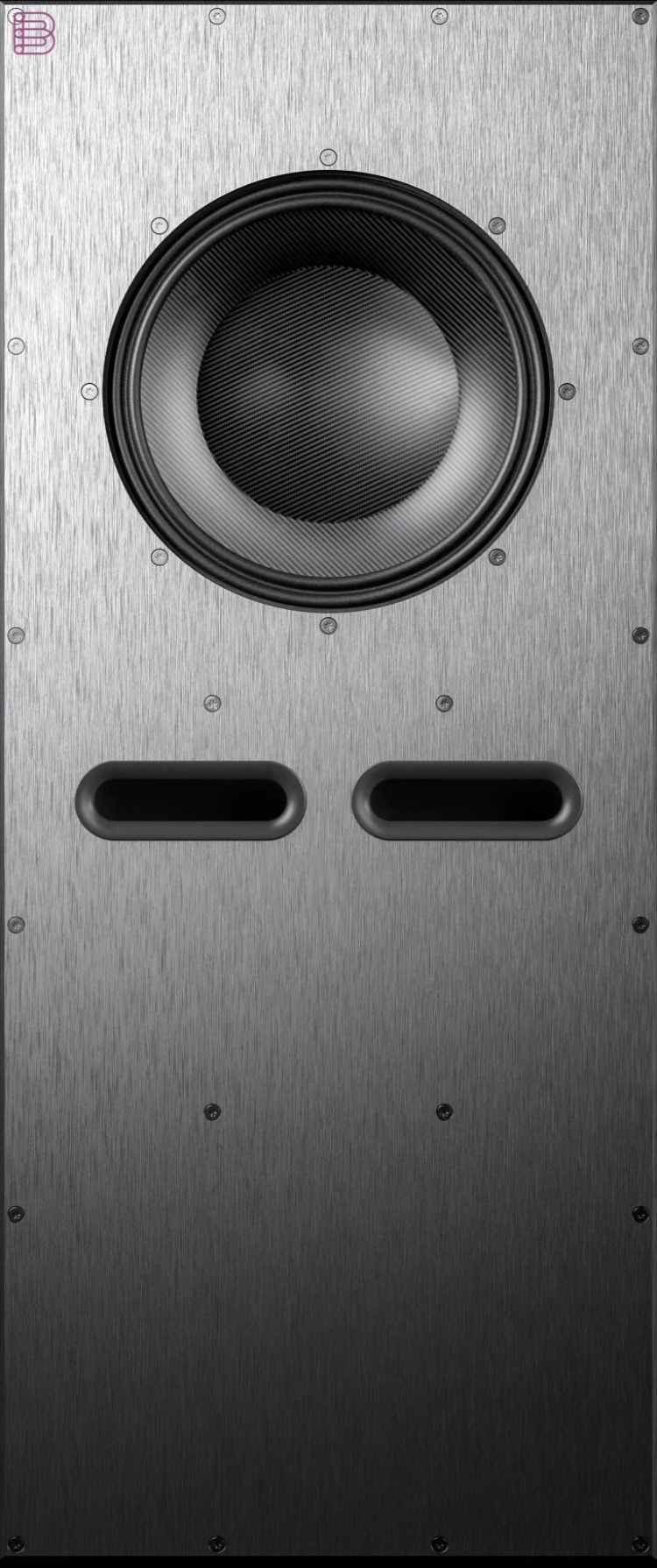 ASCENDO THE MULE 10 kick woofer seen from the front without grille