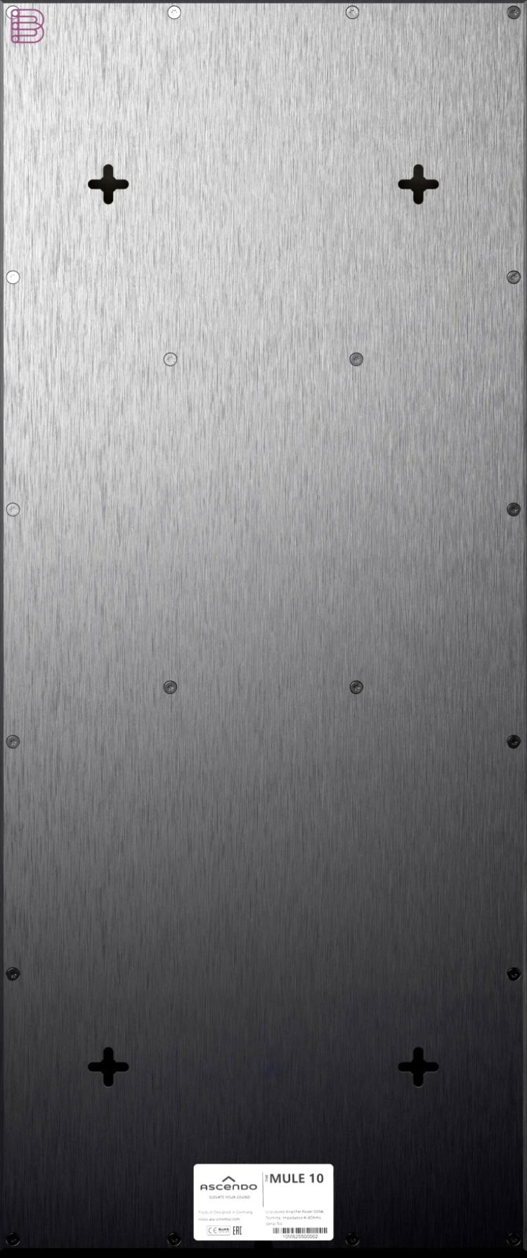 ASCENDO THE MULE 10 kick woofer rear panel with mounting points