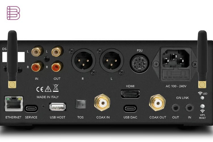 Gold Note DS-5.2 rear panel connections