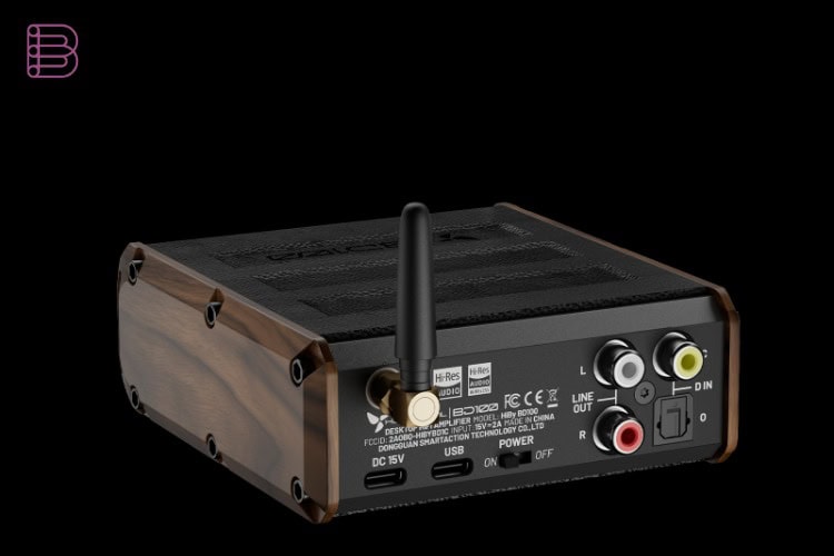 HiBy Digital BD100 desktop DAC and headphone amplifier, rear connections