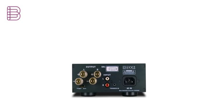IOTAVX B:ound stereo power amplifier rear panel with RCA inputs and binding posts