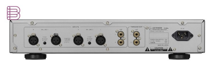 Luxman P-800u rear panel with balanced XLR and RCA inputs