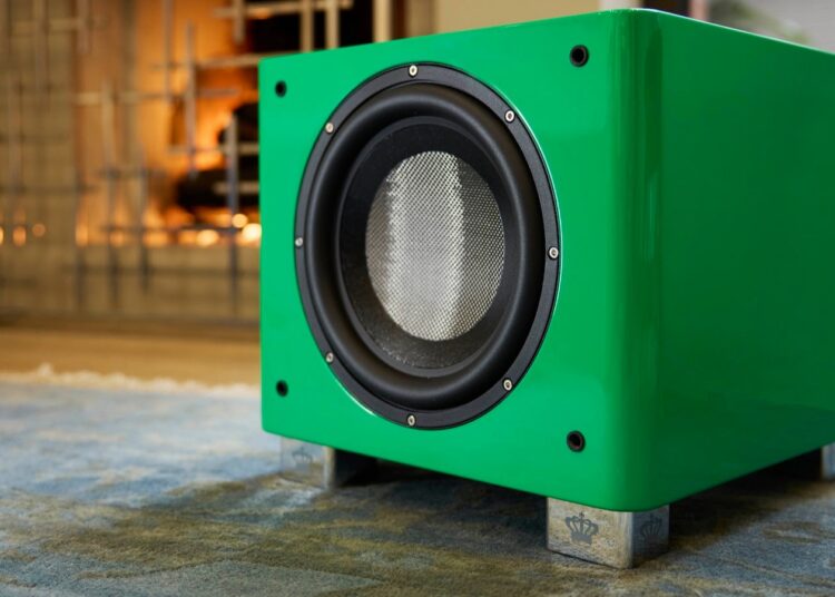 REL T/9x SE powered subwoofer in a living room