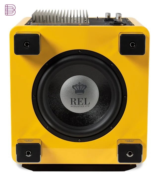 REL T/9x SE subwoofer, top-down view showing the 10-inch FibreCarbon driver