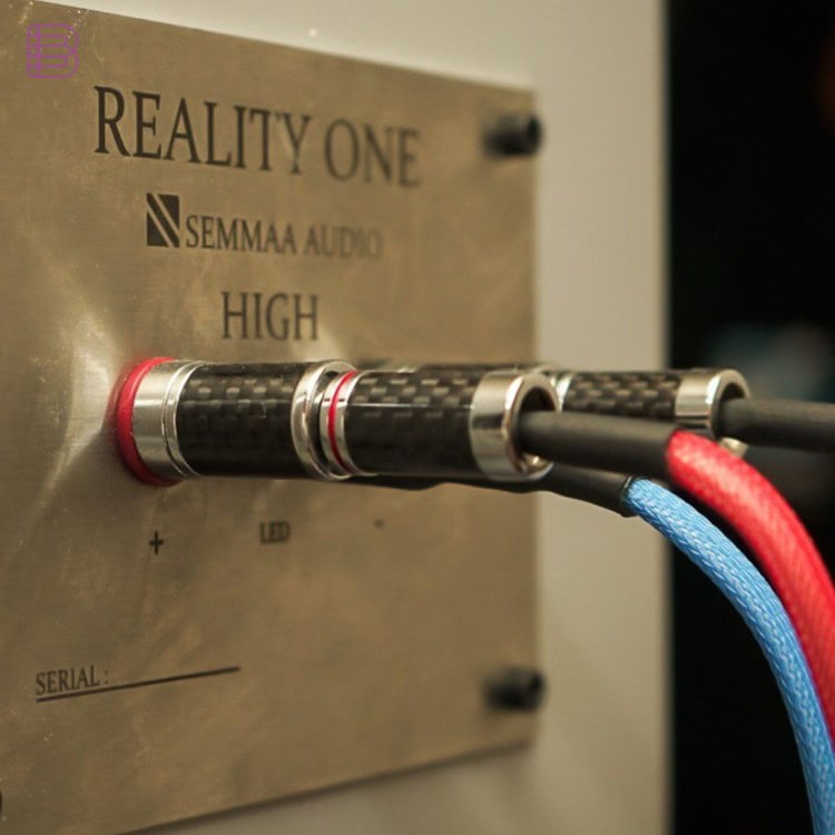 Semmaa Audio Reality One nameplate and high-frequency binding post detail