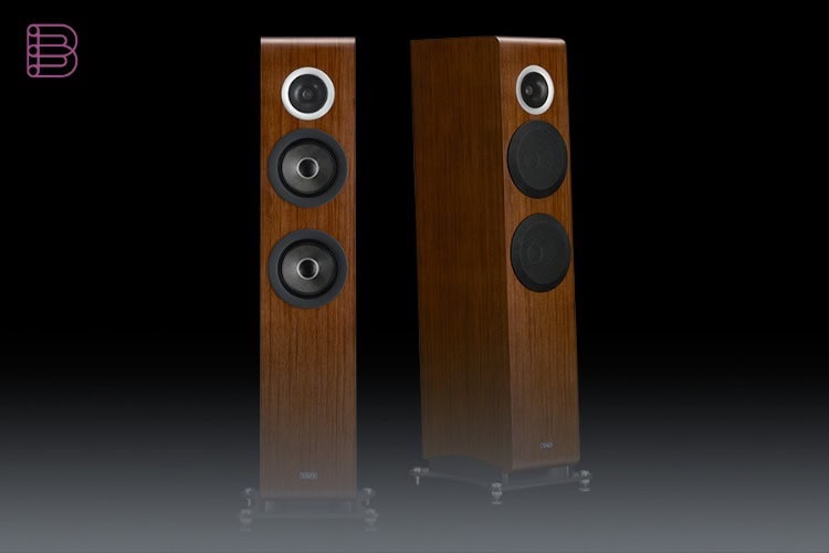 TAD Evolution Two TAD-E2 loudspeaker pair, front and rear view