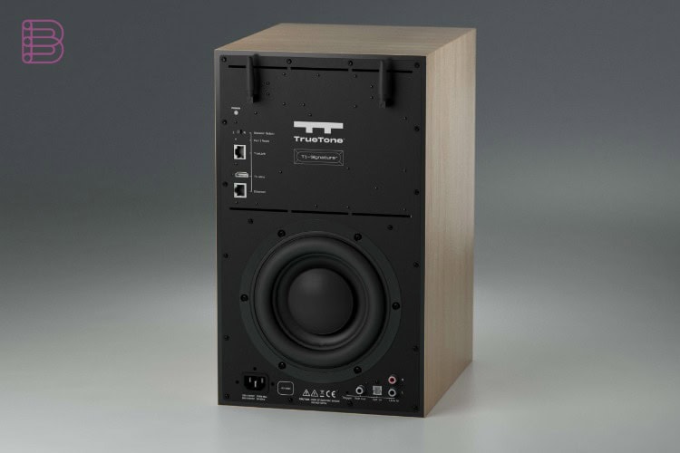 TrueTone T1 Signature speaker in oak, rear view showing amplifier panel and connections