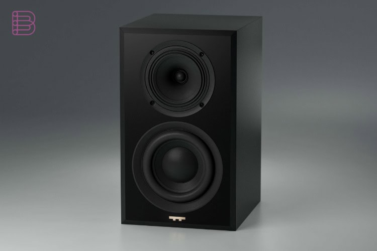 TrueTone T1 Signature speaker in black, front view with grille removed