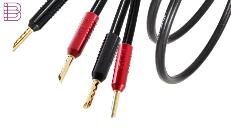 Atlas-Cables-Unveils-the-Achromatic-X-RCA-Plug-2
