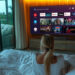 CANAL+ BUSINESS-Partners-With-PPDS-For-Hotel's-with-Philips-MediaSuite-TVs