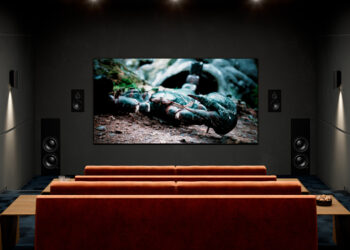 Lyngdorf Audio D-6 In-Wall-Speaker-And-DW-10-Woofer-In-Discreet-Series