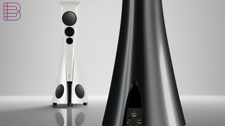 ÖÖD-and-Estelon-Converge-at-Carnegie-Hall-1