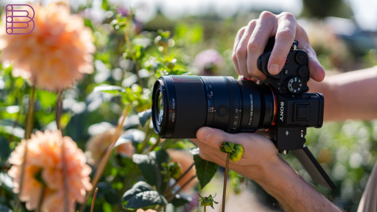Sony-FE-100mm-F2.8-Macro-GM-OSS-3