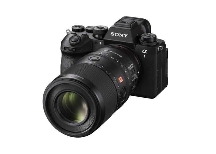 Sony-FE-100mm-F2.8-Macro-GM-OSS