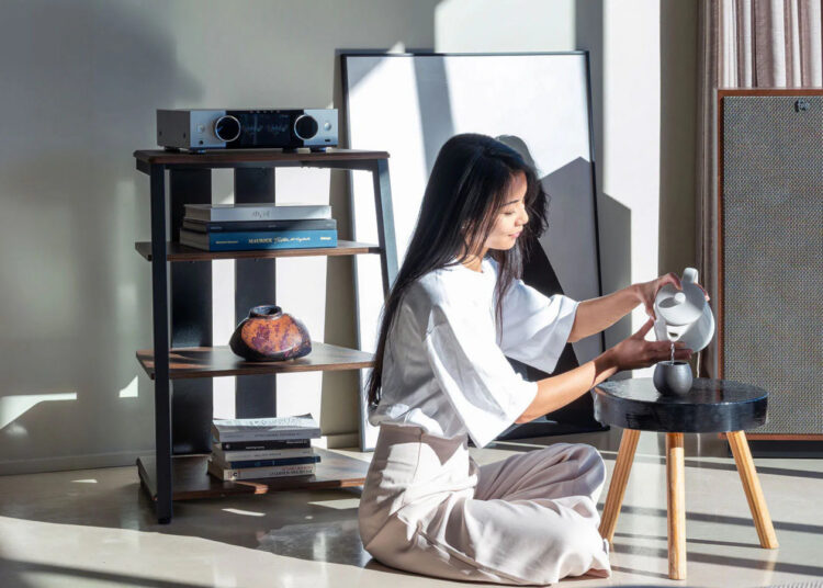 onkyo-presents-the-muse-y50