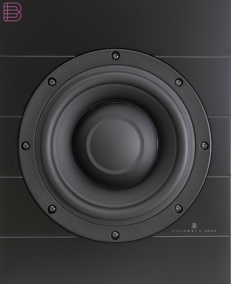 steinway-lyngdorf-bws-110-in-wall-woofer-4